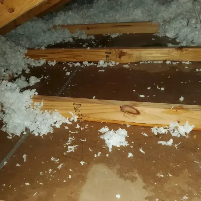 Attic Water Damage in Pinehurst, ID