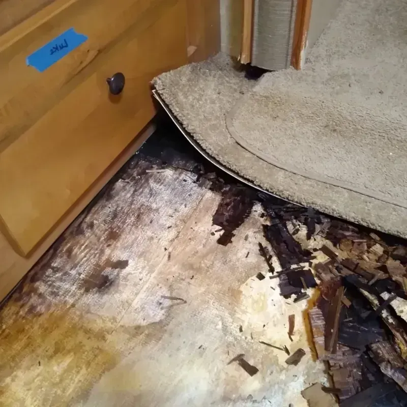 Wood Floor Water Damage in Pinehurst, ID